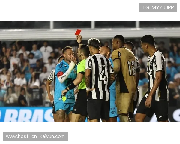 巴西排球内马尔托强力扣球,大比分取胜 巴西排球内马尔托强力扣球,大比分取胜